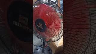 2 Stroke Gasoline Generator 900watts fuji Star