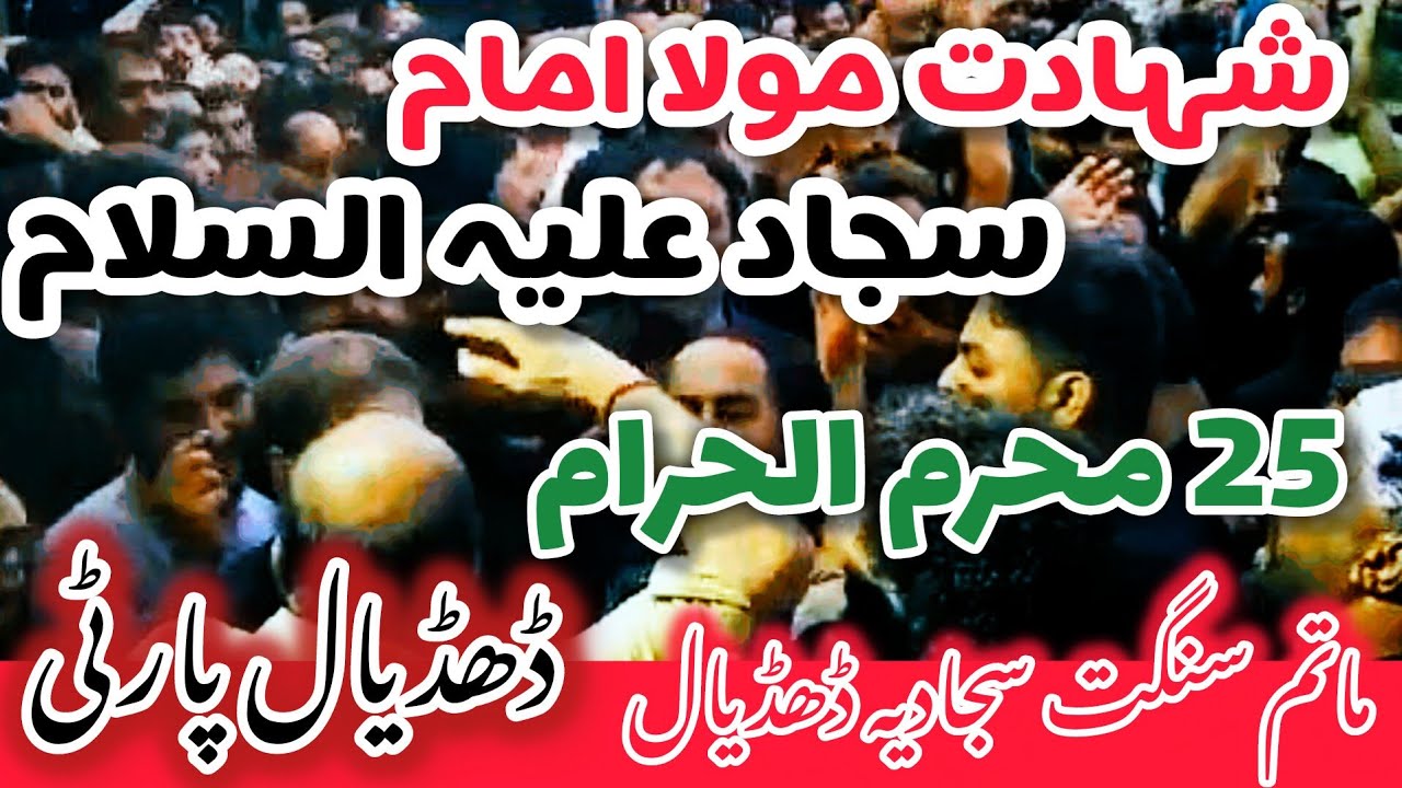 Noha Imam Sajjad a.s || 25 Muharram 2024 || Matami Jaloos Imambargha Sajjadia Dhudial Party 2024