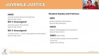 2022 Voices Legislative Preview Juvenile Justice Update