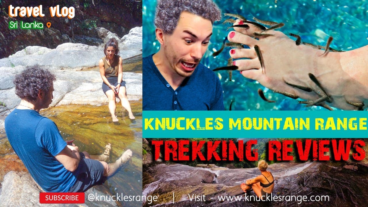 Trekking reviews in Knuckles Mountain Range in Sri Lanka with Knuckels Range trekking team