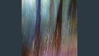 Distant Lights