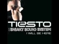 tiesto feat. sneaky sound system - i will be here (sax remix)