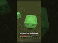 Il mob più DEBOLE di Minecraft...