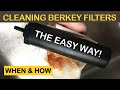 WHEN & HOW TO CLEAN THE BERKEY WATER FILTER