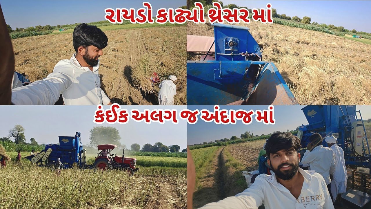 ​રાયડો કાઢવાની નવી ટેકનિક: જુઓ કેવી રીતે કામ કરે છે આ થ્રેસર! હાલતા હાલતા કાઢે રાયડો જુઓ કેવી રીતે