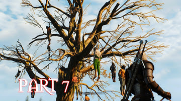 The Witcher 3 Wild Hunt: Part 7 - The Nilfgaardian Connection