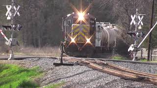 Horn Compilation - Nathan K5La