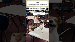 POV: Different students after result 😂 Subscribe #shorts #trending #funny #cat #memes #funnyshorts