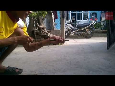 Video Làm đồ chơi tuổi thơ - Hướng dẫn làm ống thụt (Súng... - youtube