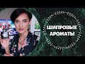 10 Шипровых Ароматов в Моей Коллекции