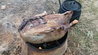 We catch chira, cook a goose, fry mushrooms, find tusks!