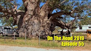 ON THE ROAD 2019 EP 55