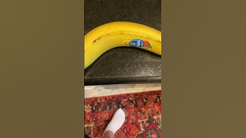 Day 3 of making  random transitions until 50 subs