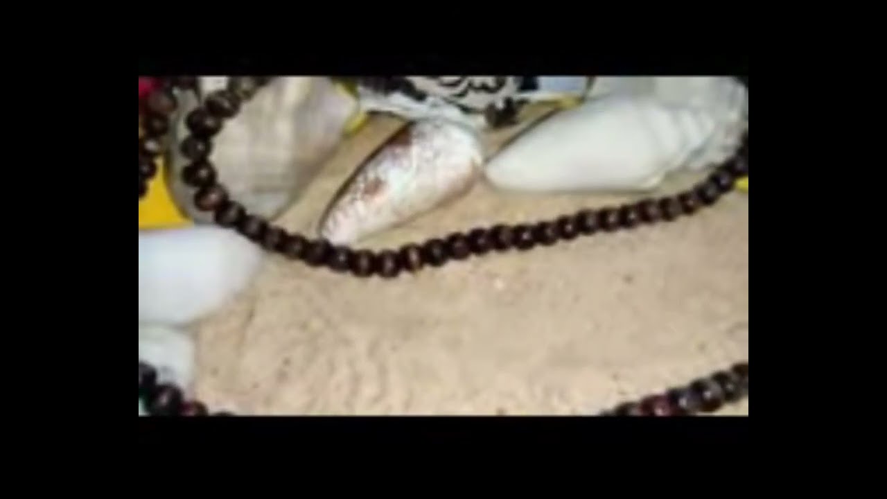 برج الحمل ♈ شوف اعدائك مالهم مالك فرحه كبيره ونصره على ست حيه #القارئه_ام_احمد