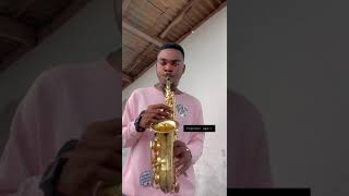 Together Again  Dave Koz