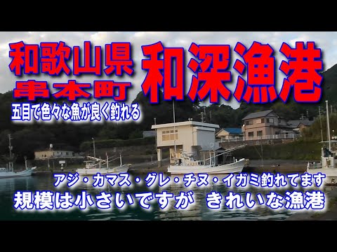 #112和歌山県和深漁港規模は小さいですがきれいな漁港五目で色々魚良く釣れる車横付け釣り出来ます波止が低いので安全ファミリー家族連れサビキ釣りに良いイカ墨跡多数足場の良い波止和歌山県東牟婁郡串本町和深