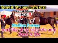 सवाई सिंह जी का Stallion Prasen आया रिंग में पूरे जोश के साथ डिस्प्ले मैं ! Ransi Show 2023