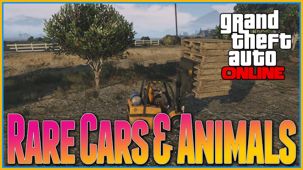 enterable buildings in gta 5 enterable buildings in gta 5