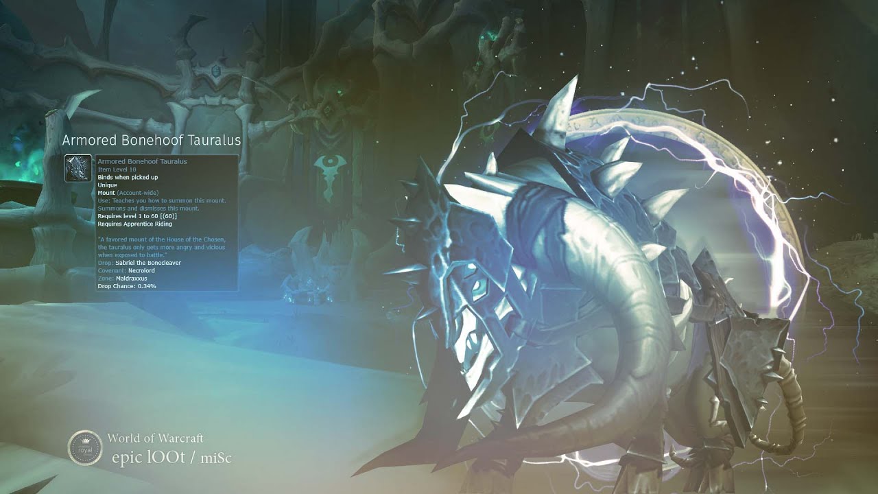 Armored Bonehoof Tauralus Mount! from Sabriel the Bonecleaver in