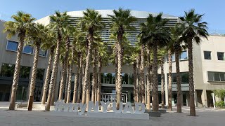 New York University (NYU) Abu Dhabi.