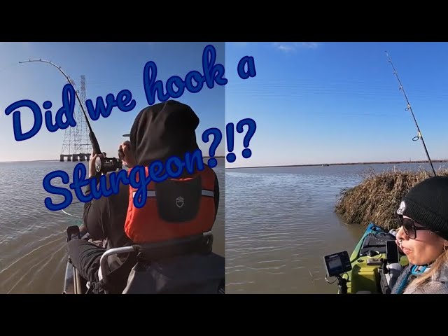 Alviso Slough Kayak Fishing. 