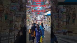 Famous 1 January 2026 Profile