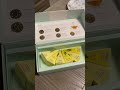 Best Tea Ever #reels #shorts #love #share #subscribe