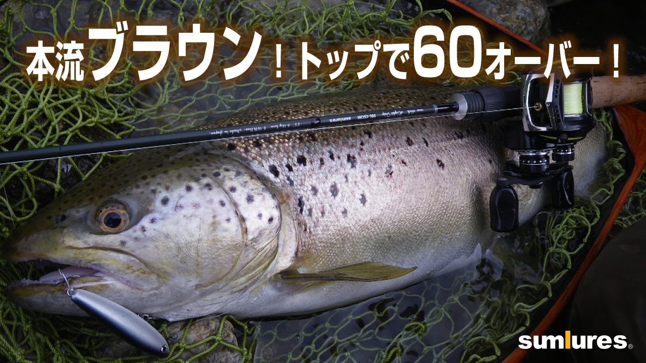 本州本流の大型トラウトをトップで狙う ブラウントラウト60オーバー イワナ40オーバー Youtube 本州本流の大型トラウトをトップで狙う ブラウントラウト60オーバー イワナ40オーバー Youtube