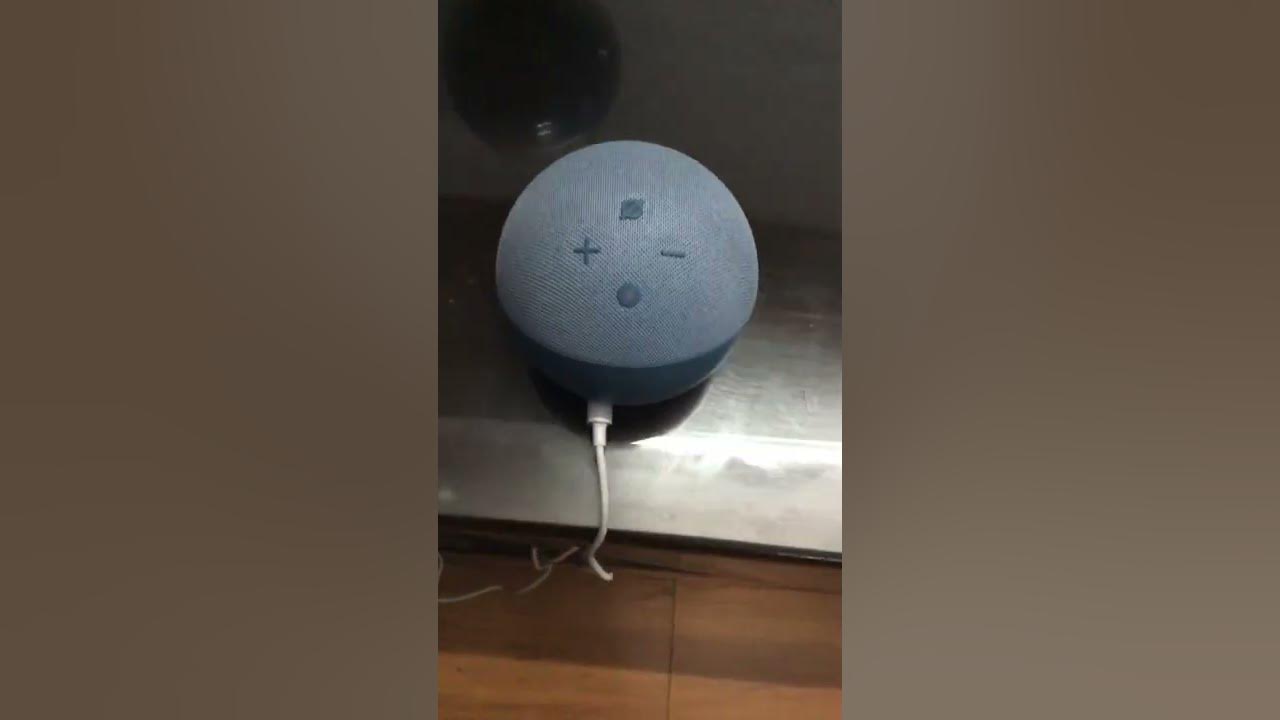 How to mute and unmute echo dot Alexa 4th generation YouTube