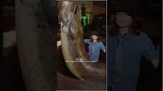 This Snake Was Bigger Than Titanoboa?! 🐍🔥 #sciencefacts #fossils #extinction #prehistoric #snake