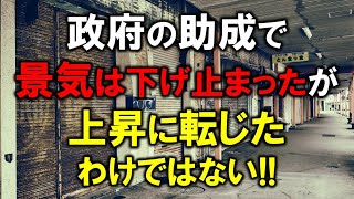 政府の助成で景気は下げ止まったが、上昇に転じたわけではない！