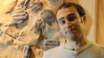 Top Ten Dino and Fossil Discoveries with Steve Brusatte | Walking With Dinosaurs