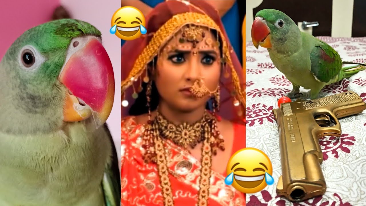 R.I.P Physics 😂🔥 Indian Movie Meme 😅🤣 