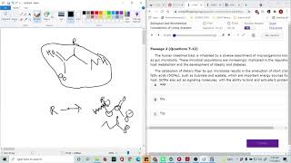 A Guide to How to Approach MCAT B/B Questions with Specific Emphasis on Graph Interpretation