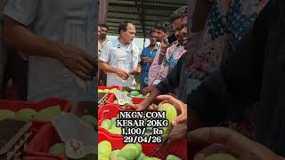 #today #auction (kesar 20kg box 1,100/-)