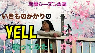 いきものがかり「ありがとう」【from いきものがかりの みなさん、こん