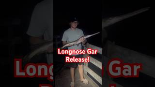 Prehistoric Fish Release! #longnosegar #gar #garfishing #fishing #fyp #foryou #shorts