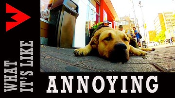 ANNOYING - What It
