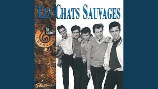 Video thumbnail of "Les Chats Sauvages - Je suis prêt"