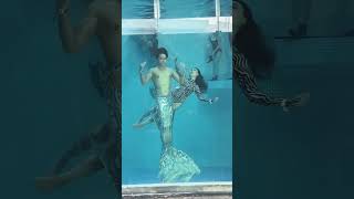 Amber Blue Series  Where Summer Begins mermaid