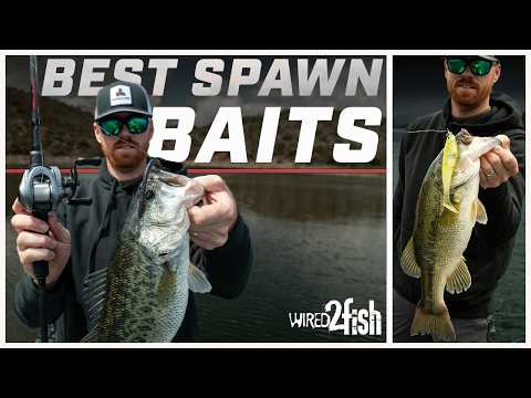 Best Baits to Find Spring Spawning Bass Fast thumbnail
