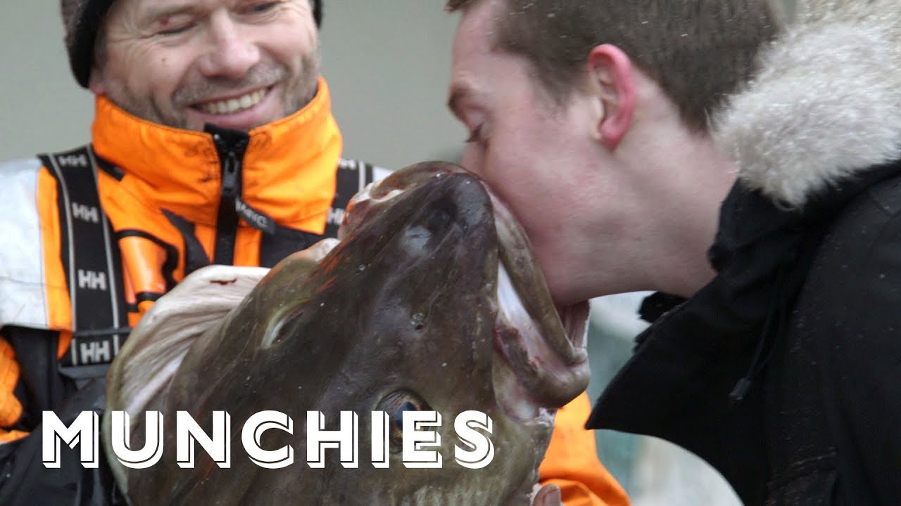 Champion Cod and Deep Dives: The MUNCHIES Guide to Norway (Part 3) | Munchies