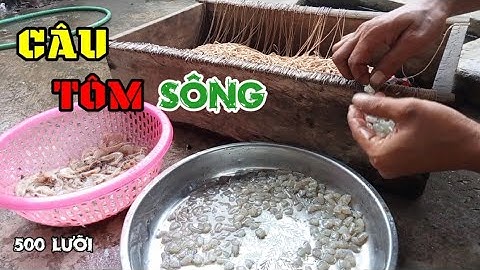 thử th.ả 500 lưỡi câu xuống đáy sông sẽ như thế nào | câu tôm càng xanh | hoàng linh vlogs