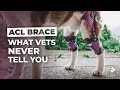 Dog ACL Brace TPLO Surgery Alternative | HUSKY SQUAD