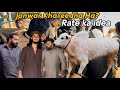 Apna Janwar Khareedny Sy Phly Rate Ka idea? #qurbani2026 #bakramandi 