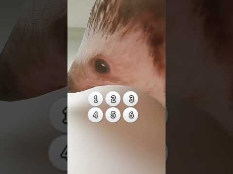 4 июня 2024