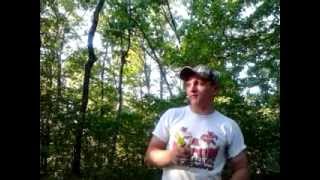 Duck Calling 101: Bouncing Hen