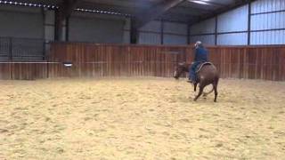 Famous SDP Lookin To Drive.wmv Net Worth