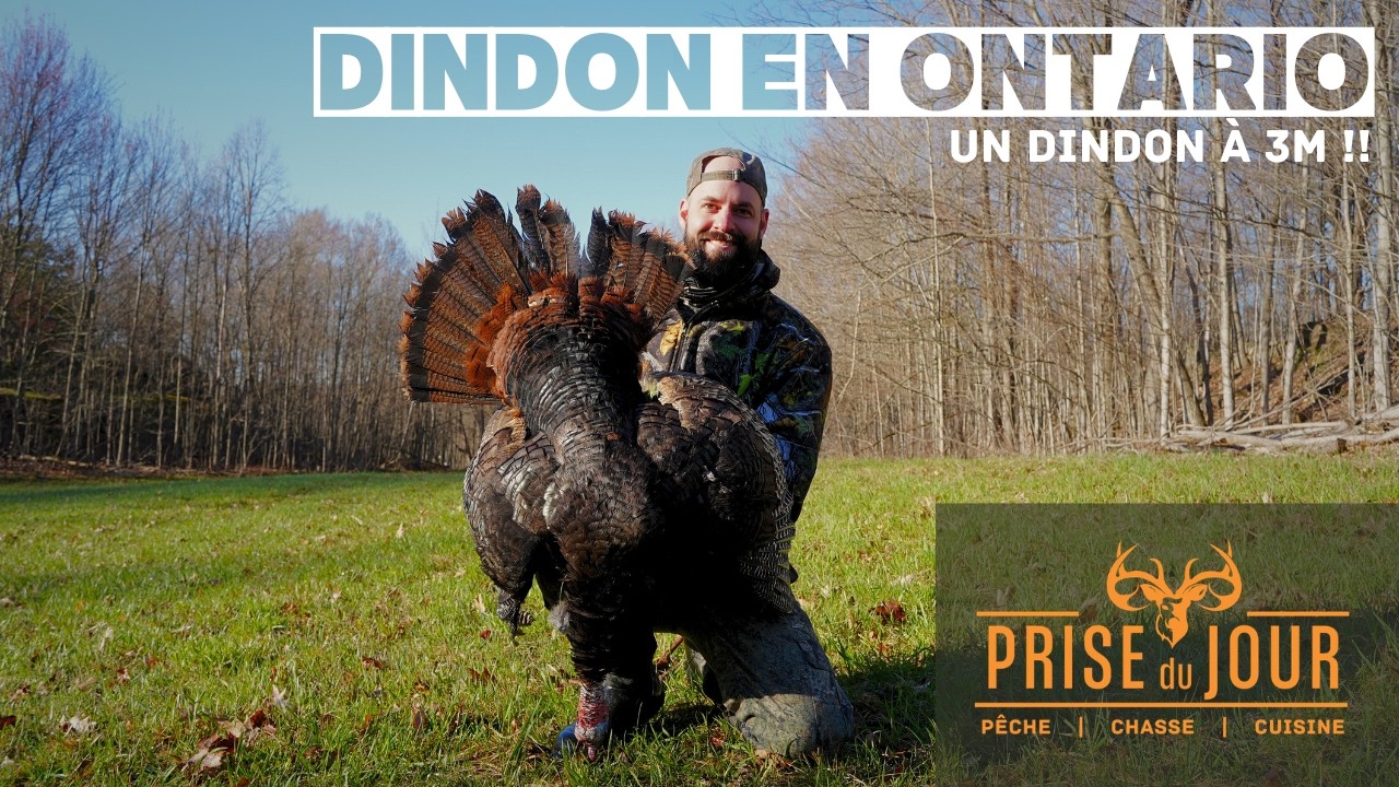 Une autre chasse au dindon de fou!