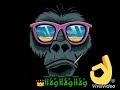 دنيا وشوش يلا كلو شمال يلا افجر حالة وتس